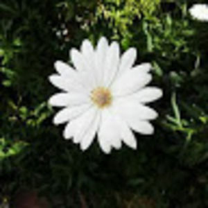 Meet your Posher, Sandy